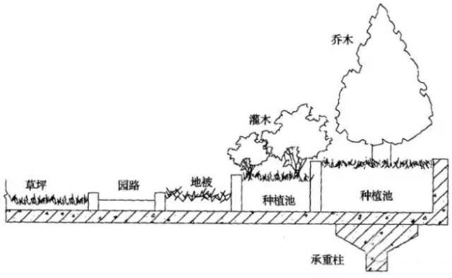 屋顶绿化植物种植微地形处理方法示意图