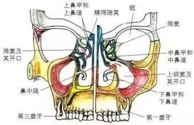 泉州市第一医院耳鼻喉科专家艺高人胆大,从鼻孔里拔牙