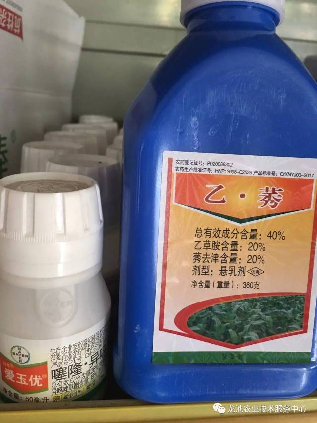 玉米田革命性除草剂----神奇的爱玉优,你用了吗?