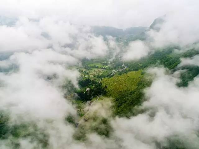 【今日焦点】桐梓县尧龙山镇雨后梯田美景如仙境!