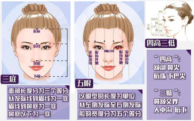 因为发际线虽然看着是属于头发的一部分,实际上却对面部比例产生了