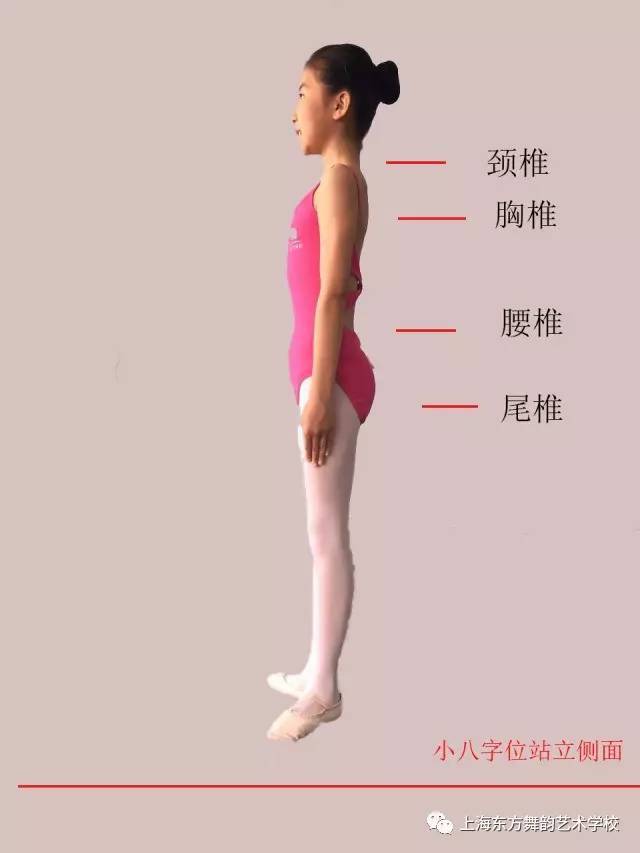【舞韵课堂】修养提升——规范坐姿和站姿