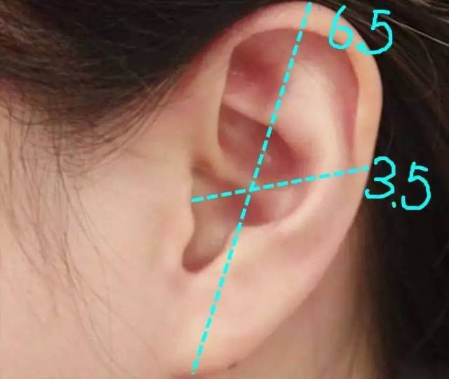 如果耳朵长得不像图画的那么标准,可以根据自己耳朵的形状稍稍调整