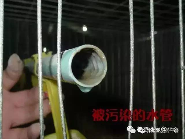 管道生物膜是怎样形成的?