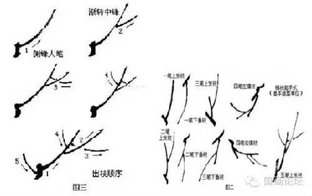 国画| 学习大师的梅花画法