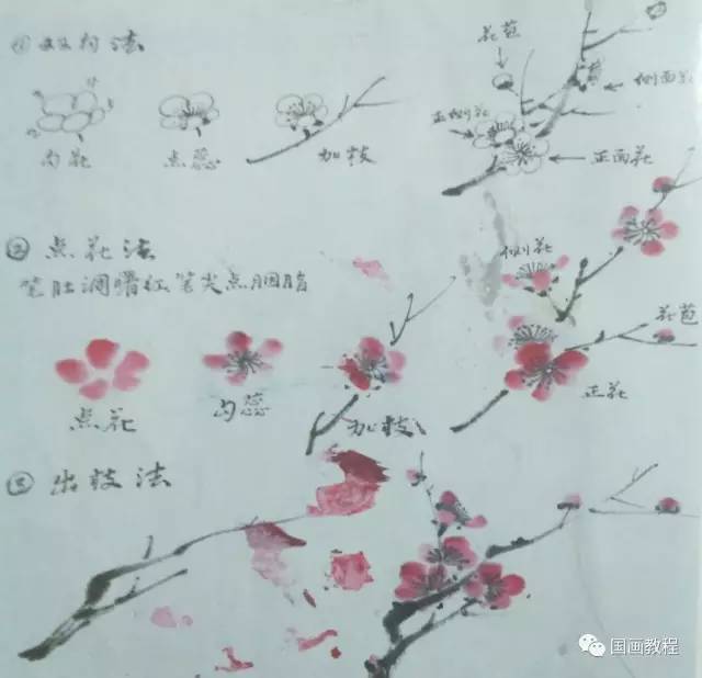 【国画教程】30天基础综合课,零基础学画画