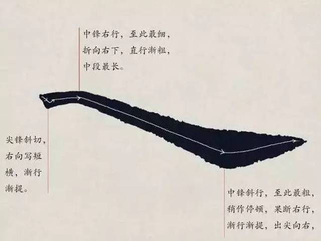 欧体入门|基本笔画学习