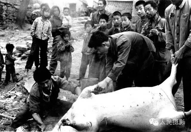 1986年,杀猪过年的博山人.