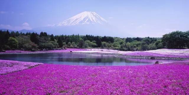 日本东北北海道地区经济总量_日本北海道图片