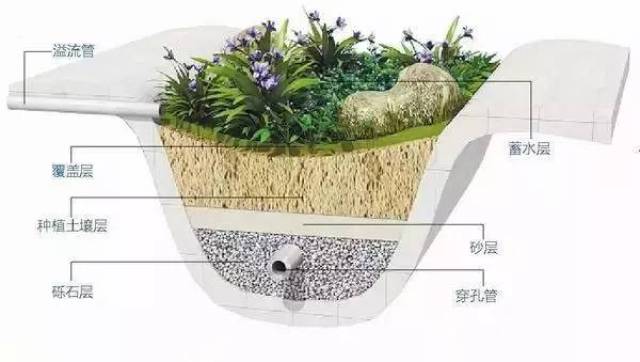 雨水花园示意图