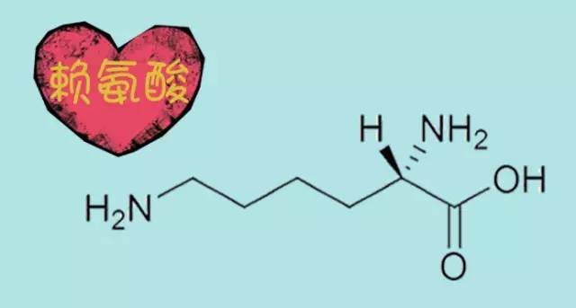 促进孩子成长发育赖氨酸