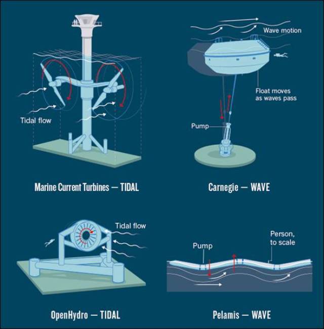 图1 当前利用电磁发电机收集海洋潮汐能和波浪能的典型设计