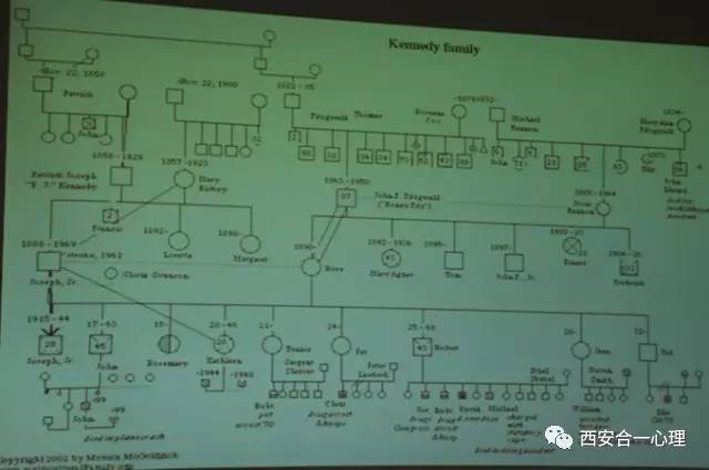 精进课堂|用"家谱图"密钥,开启尘封的家族之门