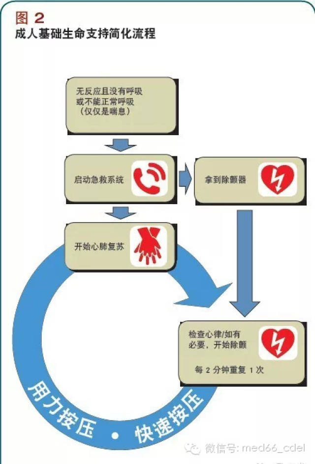 【急救知识】最新心肺复苏方法(cpr),救命法你会吗?