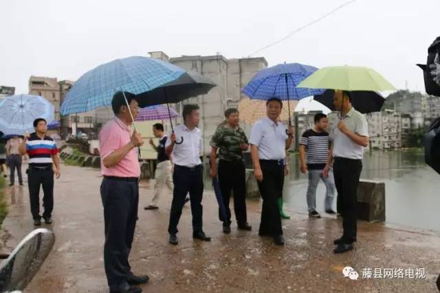 【洪水无情人有情】藤县,蒙江,大黎,太平,宁康,和平,东荣.