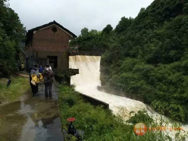 洪水漫坝 察看险情