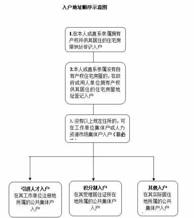 2020年人口普查怎么安集体户_2020年人口普查图片