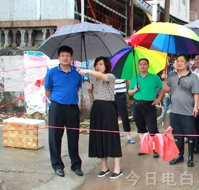 7月3日,4日,茂名市副市长李多民,崔剑,电白区委副书记,区长华翠,副