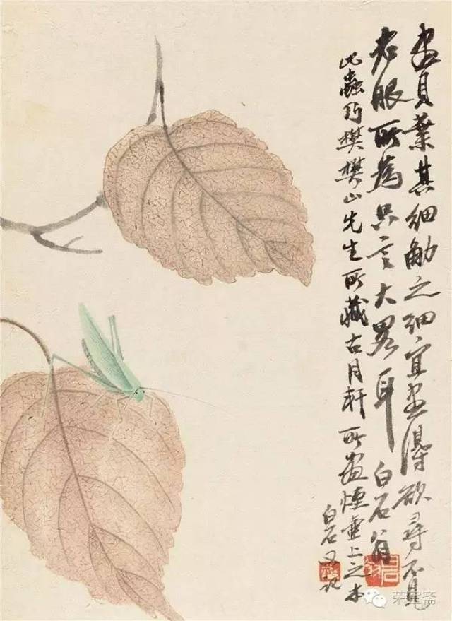 茶赏画 近观白石老人的夏虫