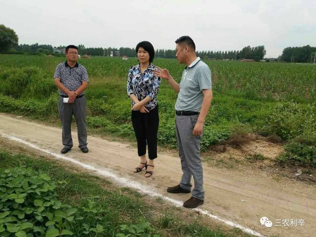 7月5日下午,利辛县人民政府县长程莉在阚疃镇人民政府镇长王伟陪同下