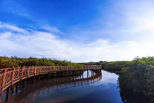 澄迈红树林湿地保护公园