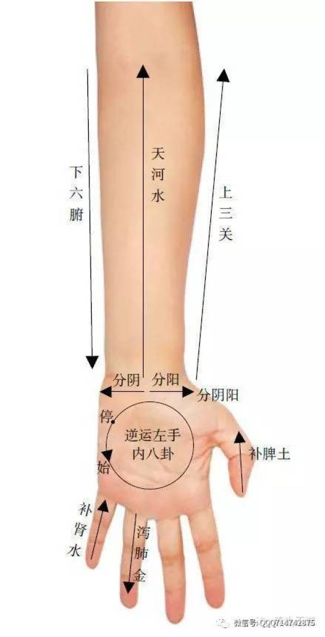 右手操作方法与左手一样.