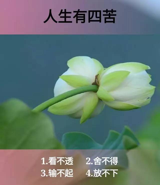 浓缩人生的一些话,真的很经典!