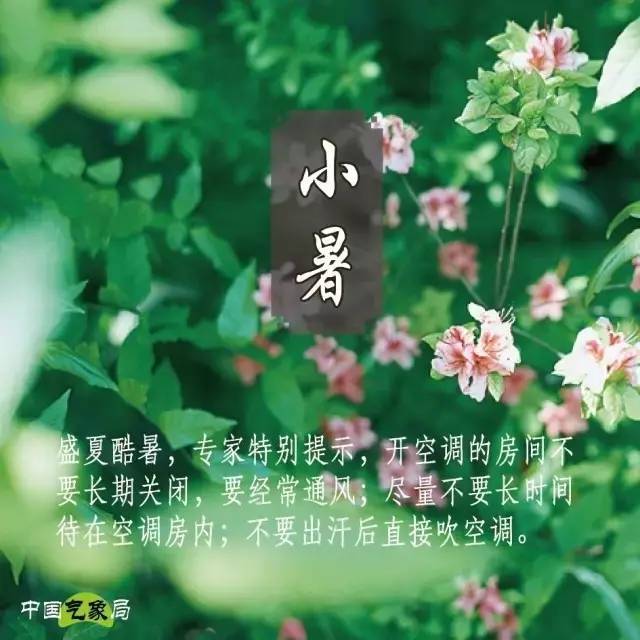 《小暑六月节(元稹)