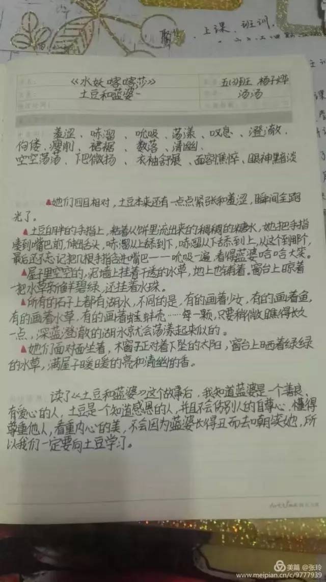 先画大花脸,再摘抄.好习惯就是这样养成的!