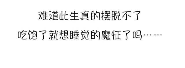 真的摆脱不了"吃饱了就想睡觉"的魔怔了吗?