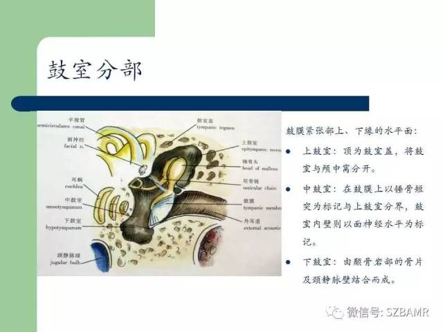 外中耳解剖及变异畸形ct表现