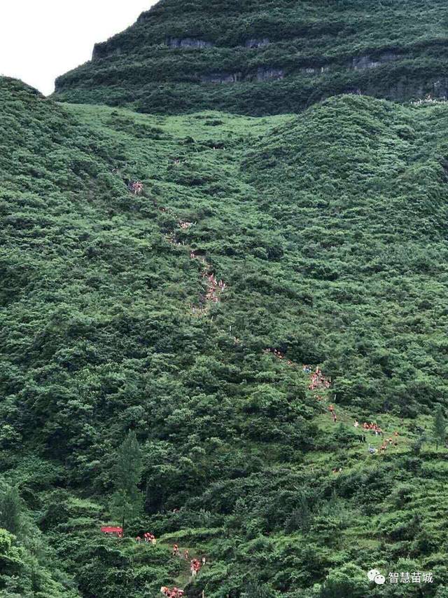 松桃黔渝边区首届玛瑙山登山赛,所有人聚集甘龙