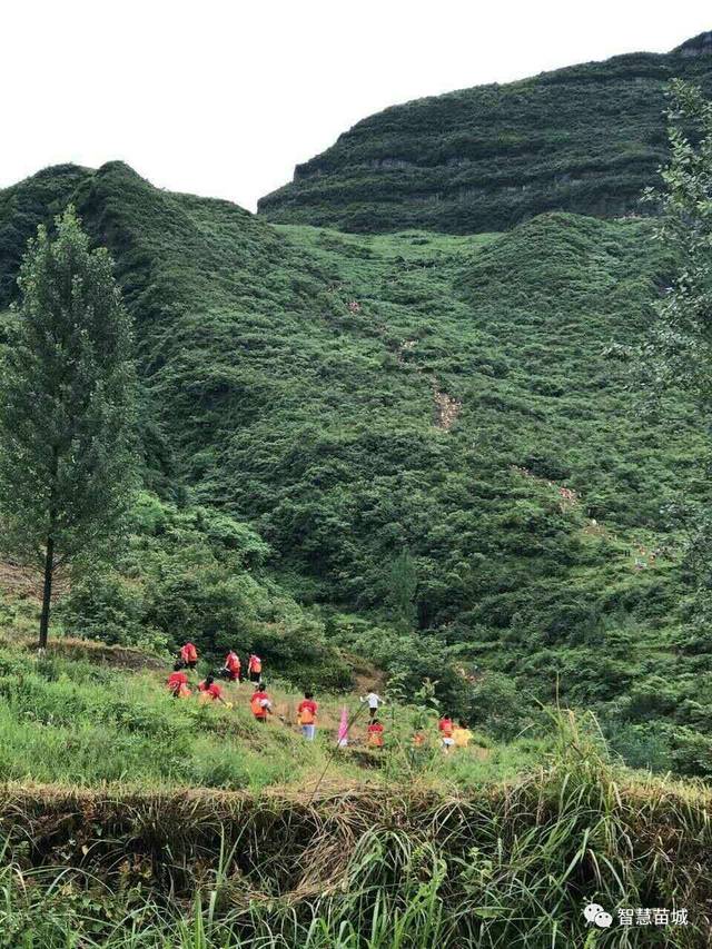 松桃黔渝边区首届玛瑙山登山赛,所有人聚集甘龙