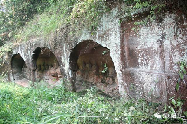 四川青神县城有多少人口