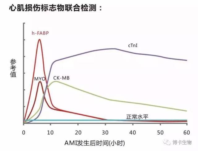 对比上图几种标志物在心肌损伤后释放至血液中的时间特点,发现在心肌