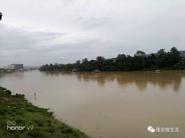 组图:百色水库泄洪,隆安右江河段水位明显升高