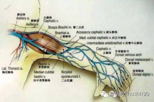 超全的小儿静脉穿刺技巧