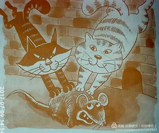 那时流行—白猫 黑猫