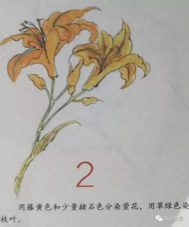 怎样画萱花