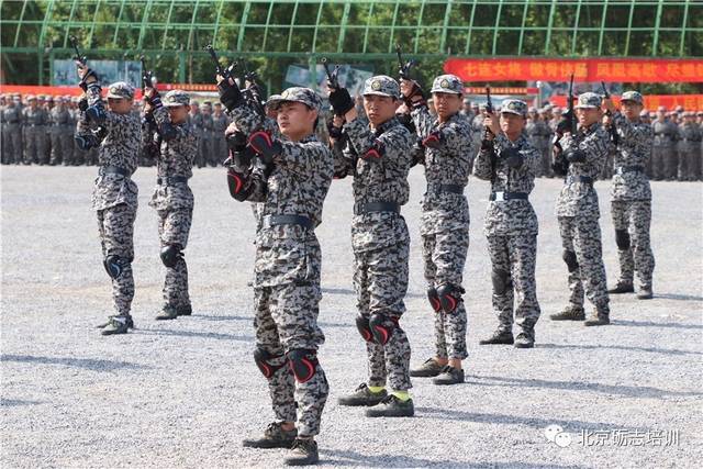 单兵队列教案_单兵队列训练教案下载_单兵个人队列动作教案