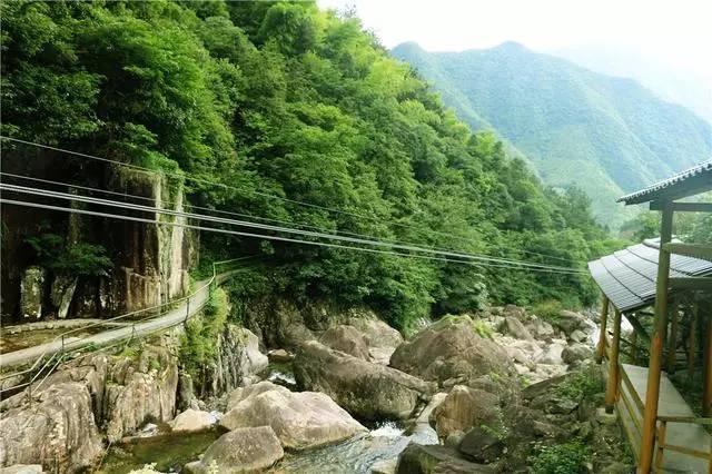 华东避暑纳凉首选地,临安天目山,青山湖带给你清凉一夏!