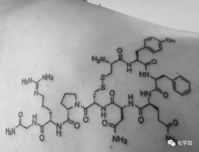 不一样的文身,把化学文在身上:多巴胺,尼古丁,咖啡因