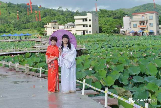 陆河县文广新局,旅游局承办,深圳市人力资源和社会保障局,汕尾市公共