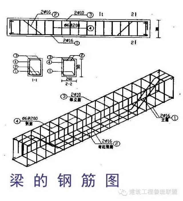 钢筋种类:受力主筋,弯起筋,架立筋,箍筋.