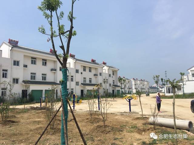 省国土资源厅督察组来长丰县杜集乡实地调研土地工作