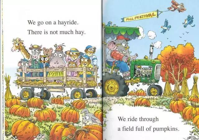 we go on   hayride.