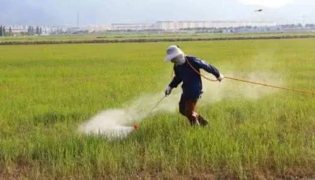 经济日报:我国化肥农药的使用量触目惊心,土壤