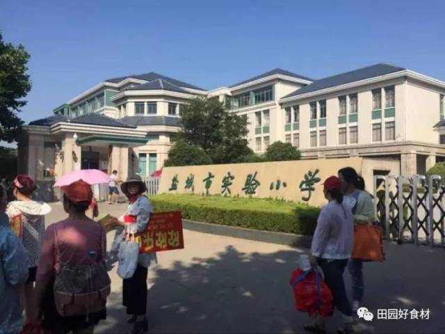 盐城一小集团直属四所小学今天开始报名,39度高温家长