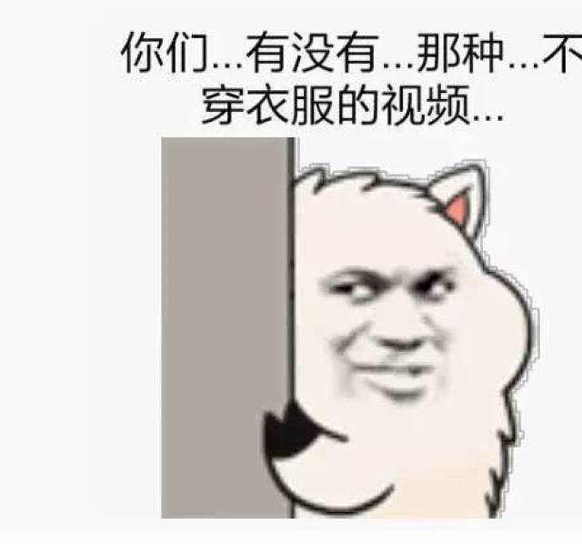 表情包污到最高境界是什么快转发给那些老司机们