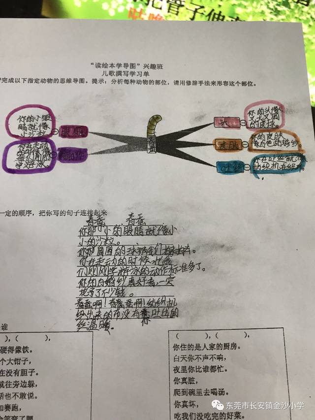 金沙小学2017年少年宫"读绘本学导图"班活动回顾